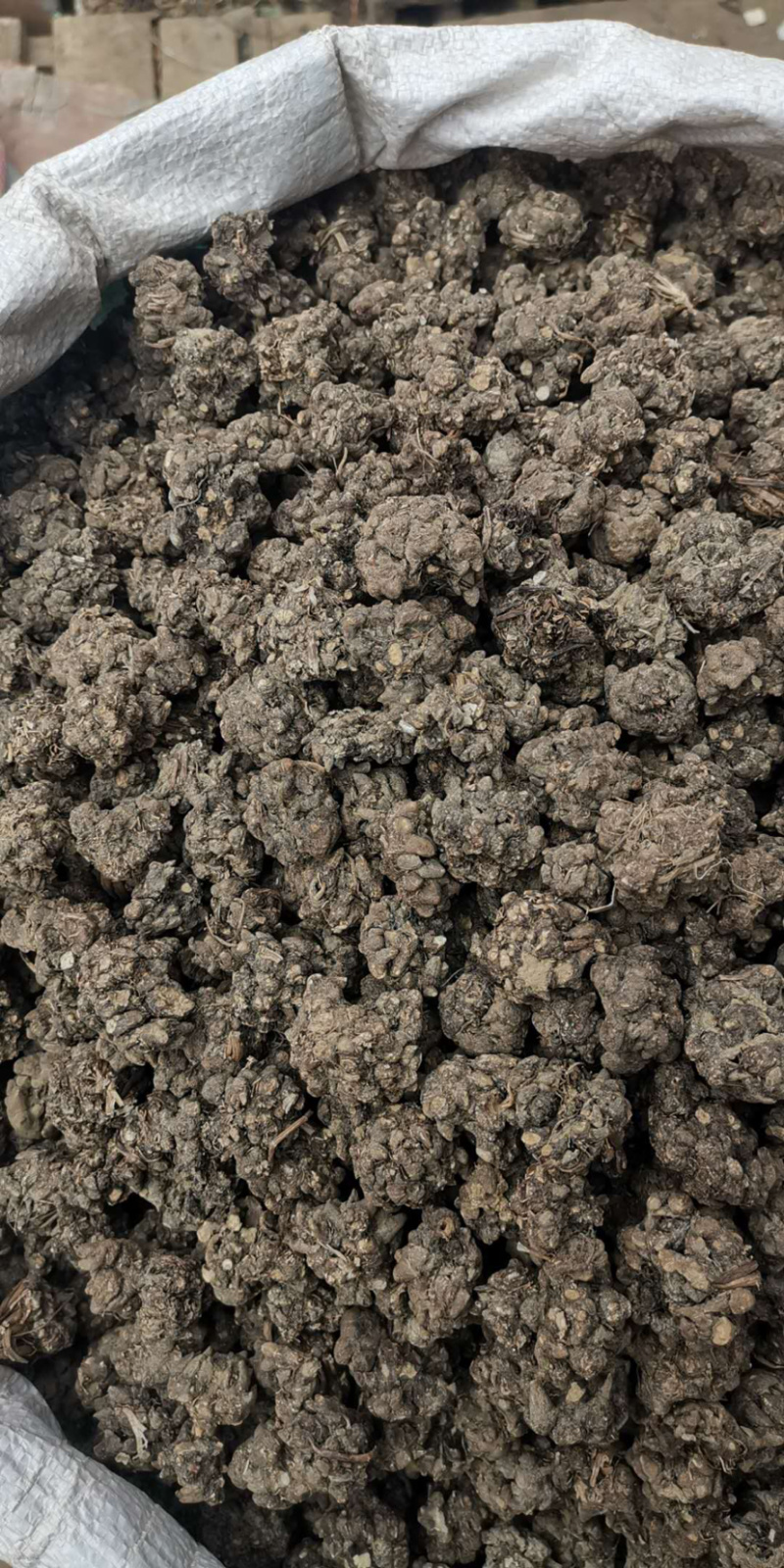 猫爪草精选猫爪草实物拍摄各种中药材批发
