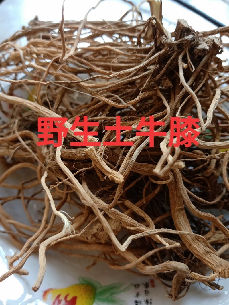 贵州野生土牛膝杜牛膝倒扣草根土牛七倒钩草