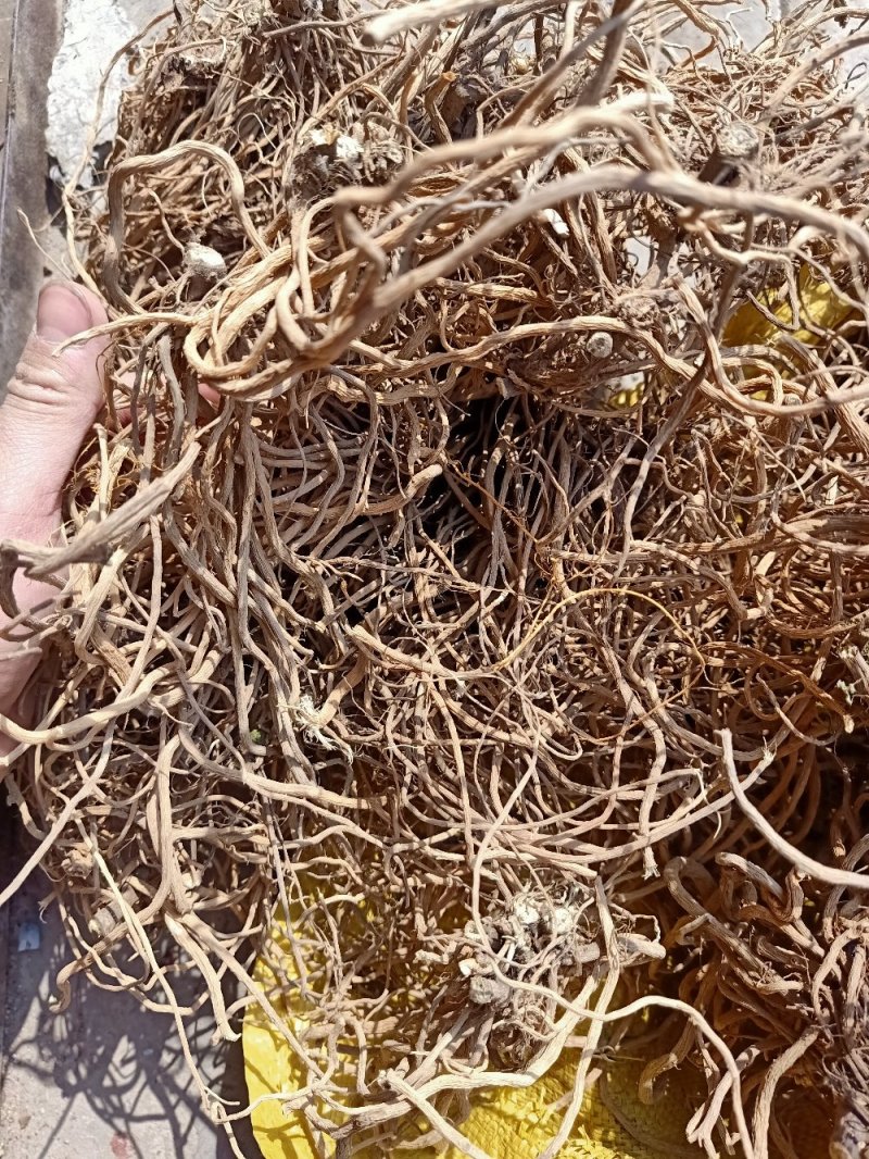 贵州野生土牛膝杜牛膝倒扣草根土牛七倒钩草