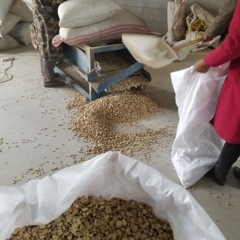 黄芪片黄芪内蒙黄芪片产地大量批发黄芪片新货