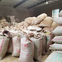 黄芪片黄芪内蒙黄芪片产地大量批发黄芪片新货