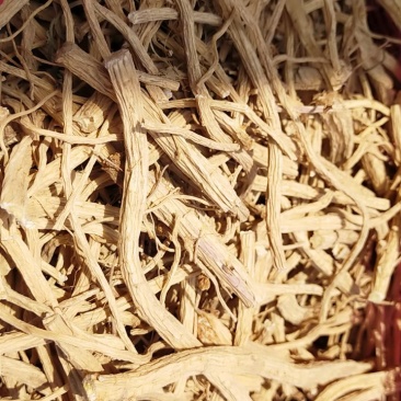 防风籽播干货无毛头自己种的