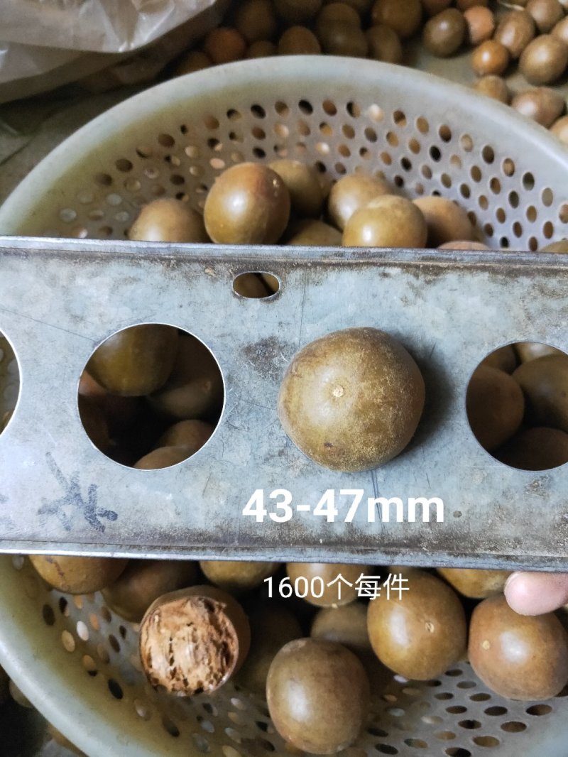 罗汉果批发，规格齐全，量大批发更实惠，桂林永福产地直批