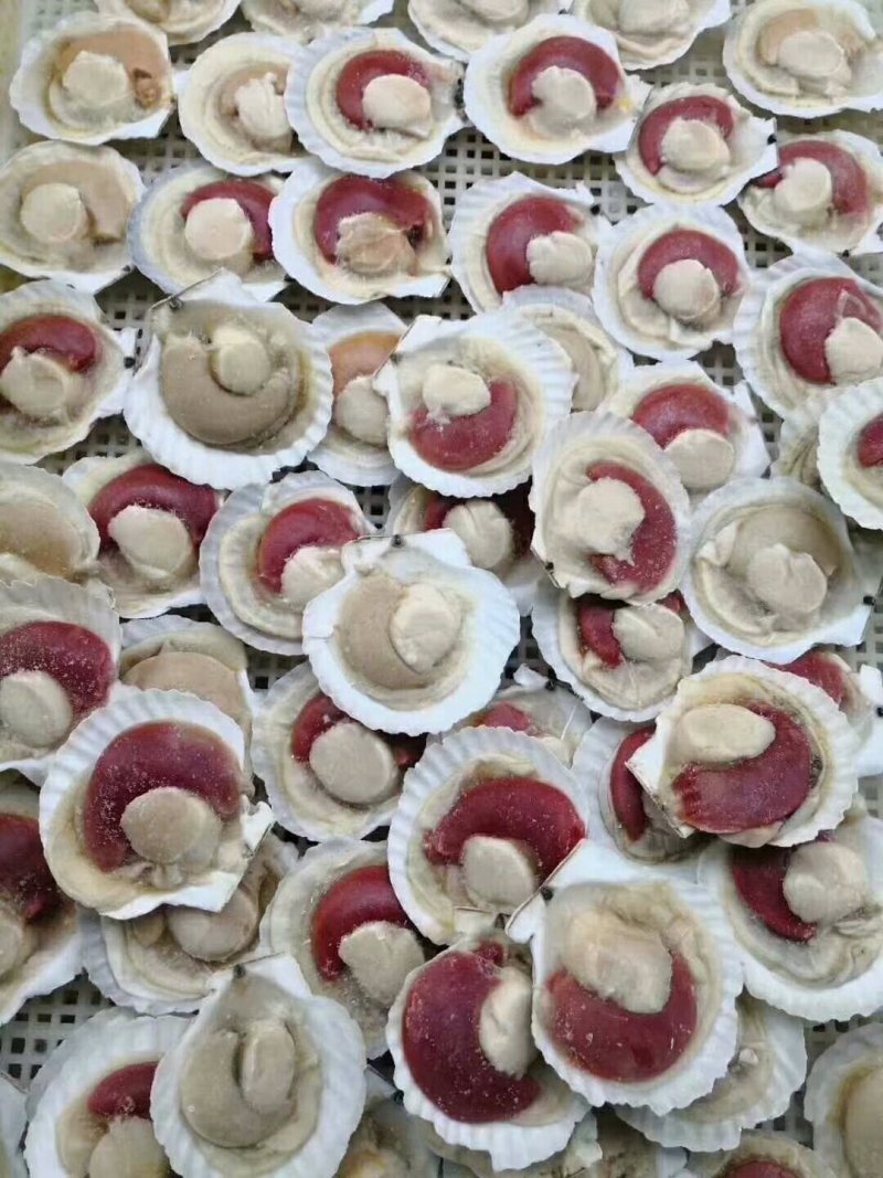 冻品