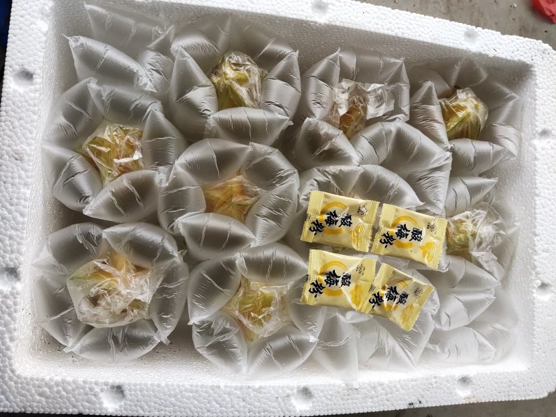 [精选杨桃]水果红龙杨桃福建发货现摘3斤5斤包邮