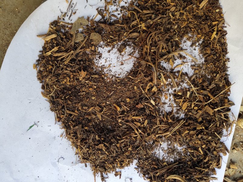 地瑜沫子不包运费批发零售品种齐全