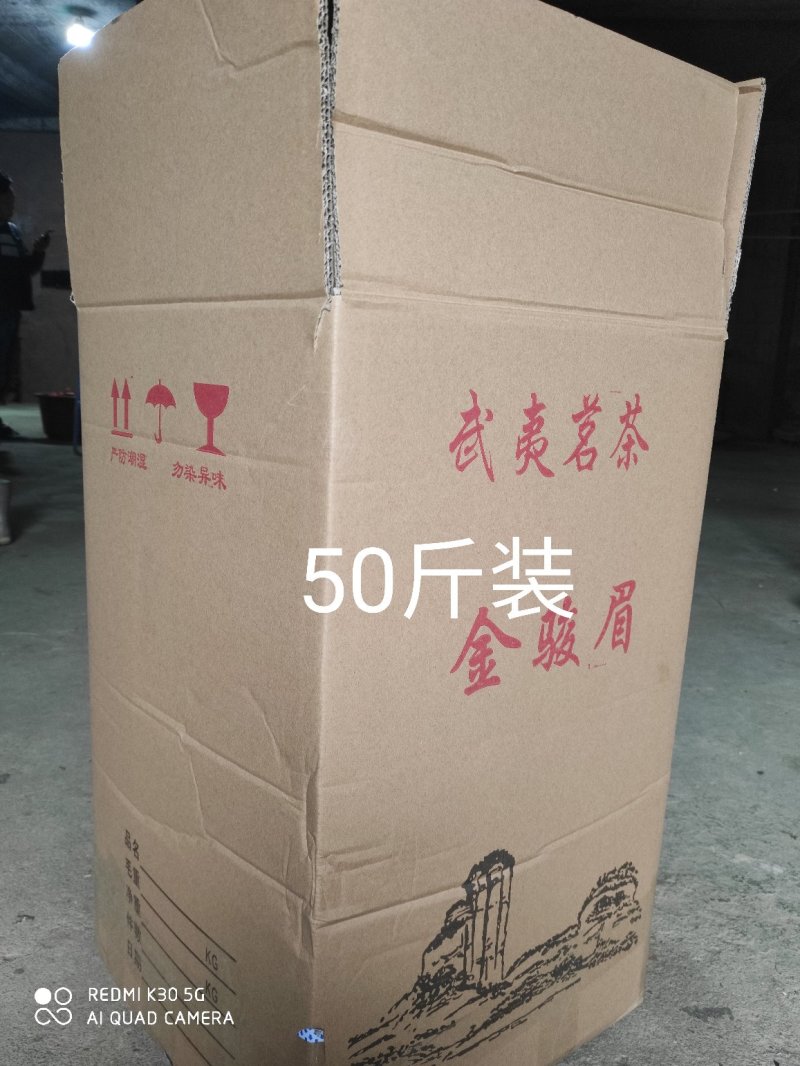 安溪高山野生单芽梅占金骏眉,2026明前茶高山手工功夫茶