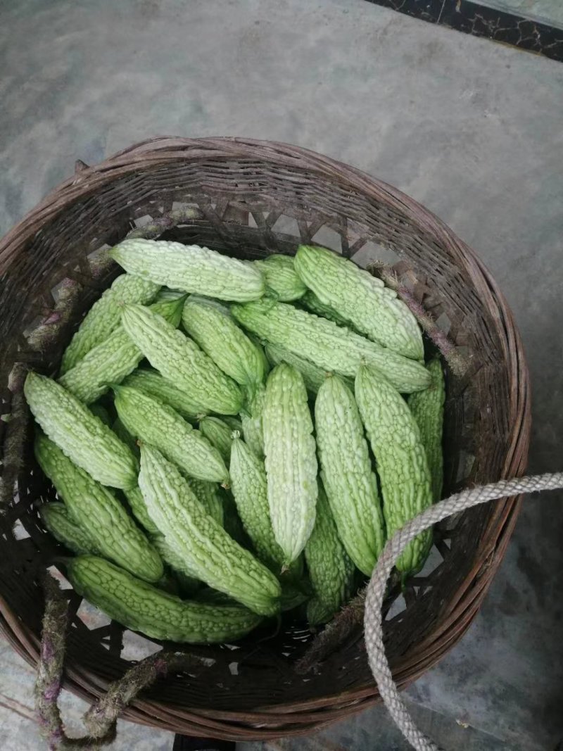 常年代办蔬菜