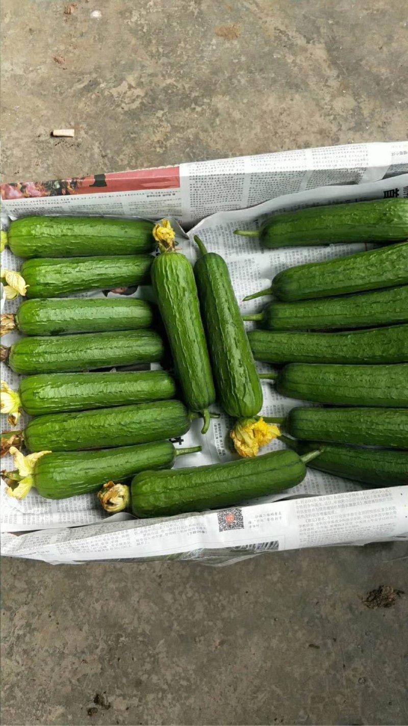 常年代办蔬菜