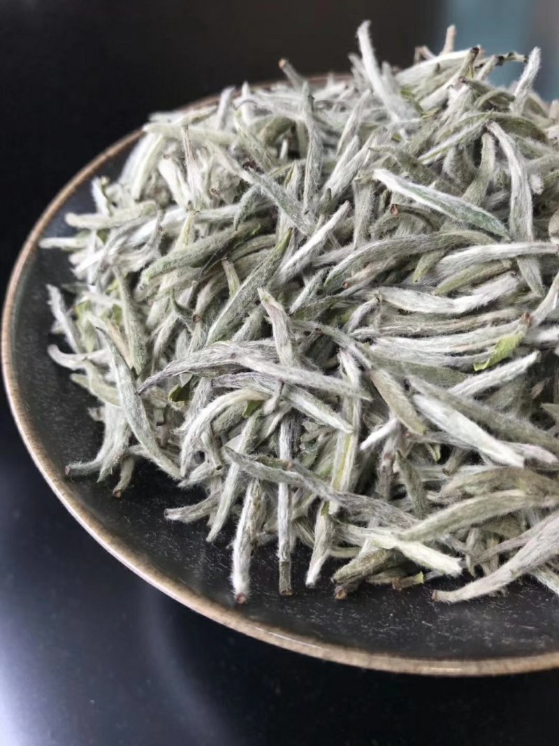 福鼎白茶
