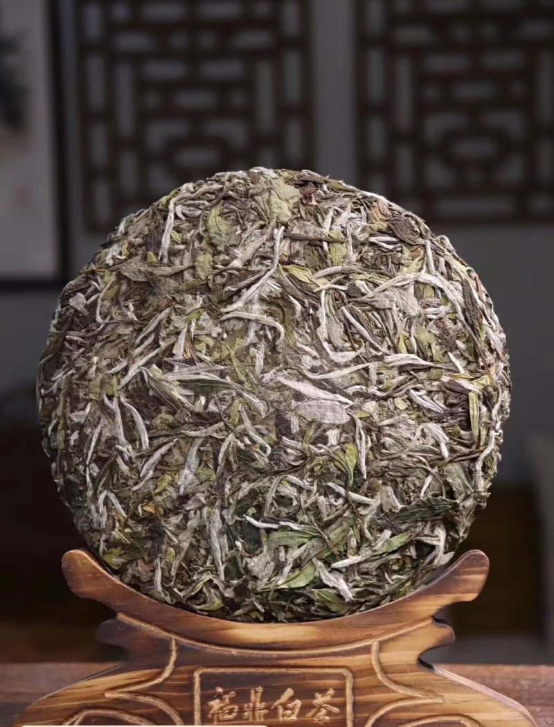 福鼎白茶