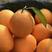 【伦晚脐橙】秭归夏橙伦晚脐橙产地大量供应看货采摘保质保量