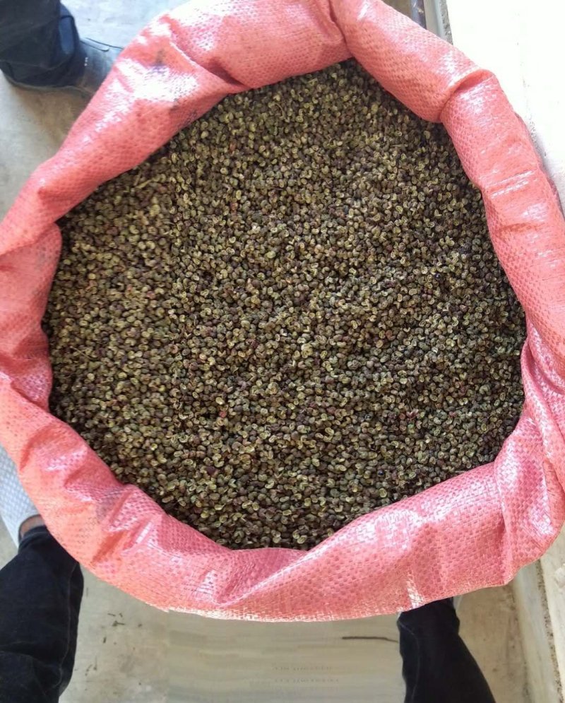 自家种植麻香味青（红）椒