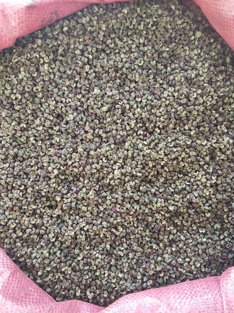 自家种植麻香味青（红）椒