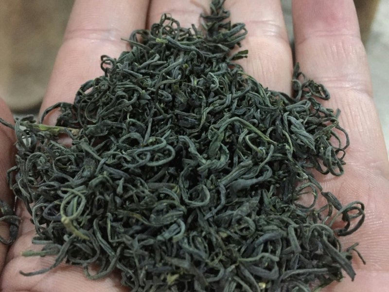 岳西高山绿茶有机绿茶，生长在高山之巅，云雾缭绕