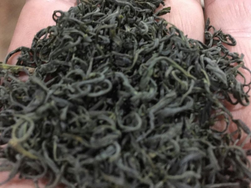 岳西高山绿茶有机绿茶，生长在高山之巅，云雾缭绕