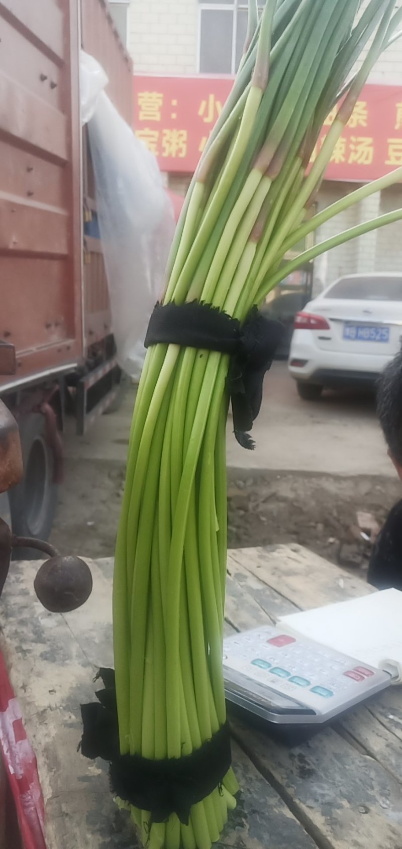 保鲜库精品红帽蒜薹，长期供应
