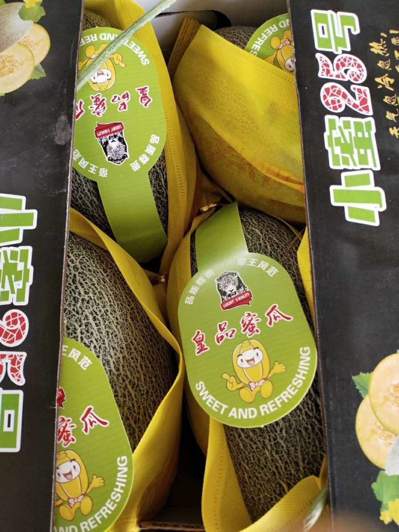 西周蜜甜瓜中的爱马仕