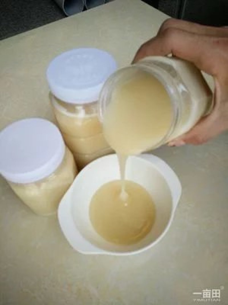 冬蜂蜜