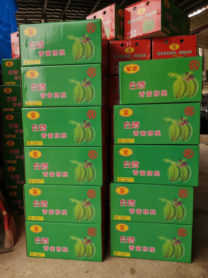 杨桃之乡，广东龙门，清甜爽口，入口无渣！