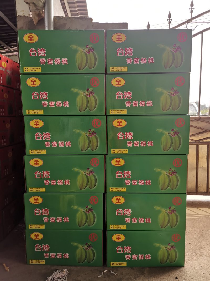 杨桃之乡，广东龙门，清甜爽口，入口无渣！