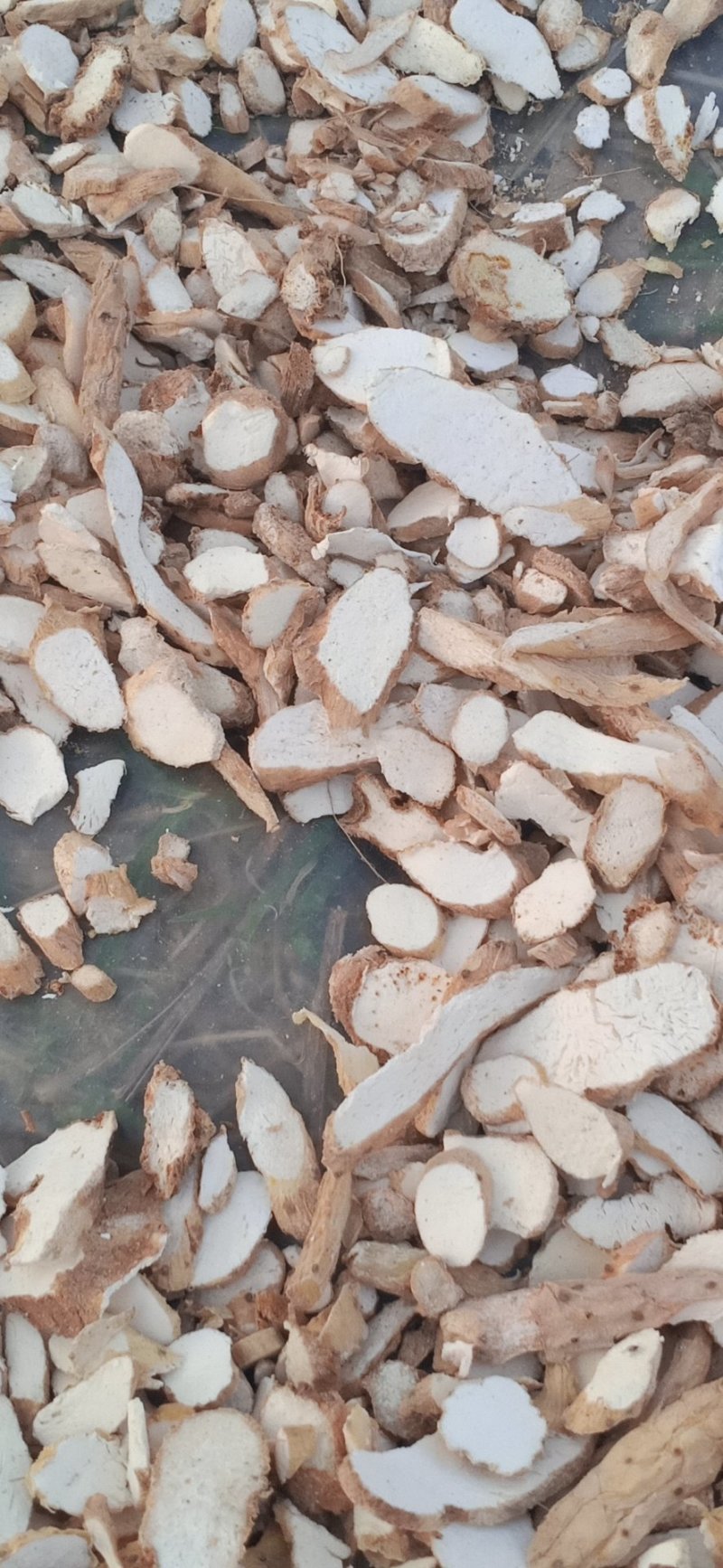 山药片，山药，白条水洗货都有我的山药是铁棍片真的很好了
