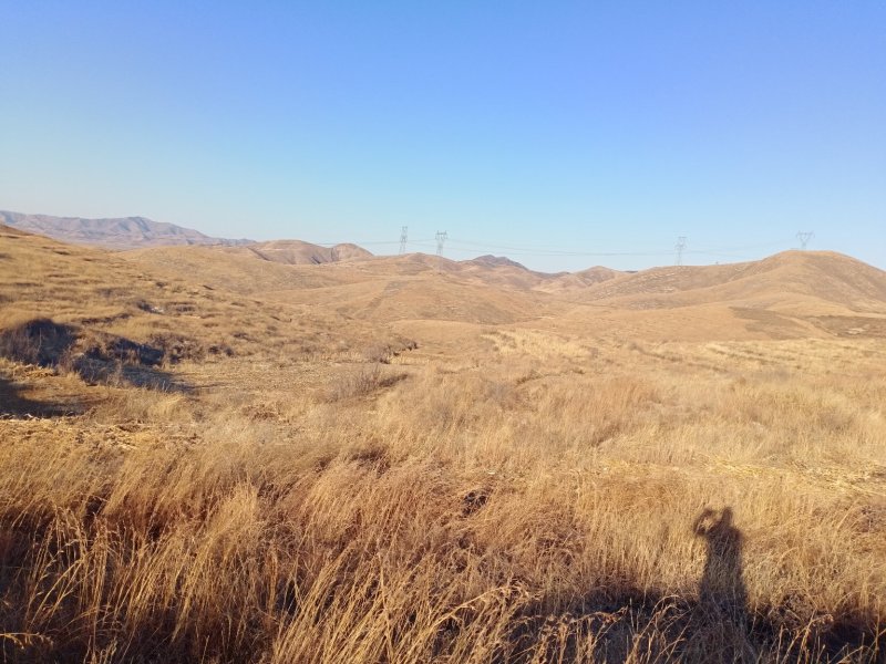 大量荒山资源出租转让