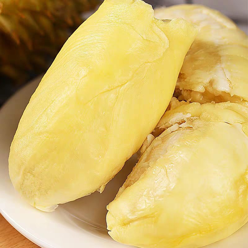 正品嫁接榴莲树苗泰国榴莲苗猫山王金枕头红肉菠萝蜜榴莲蜜