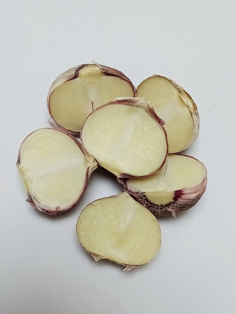 汉源县独头蒜，产地直供，可视频看货。产量大
