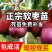 【精品】软枣苗龙城二号一年苗两年苗原产地大量批发软枣猕