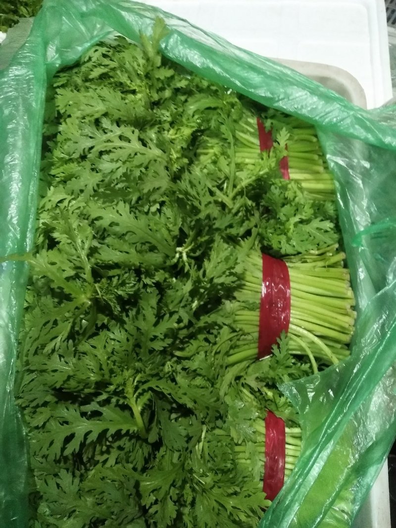 穆氏果蔬长年销售精品叶菜，欢迎订购！！！