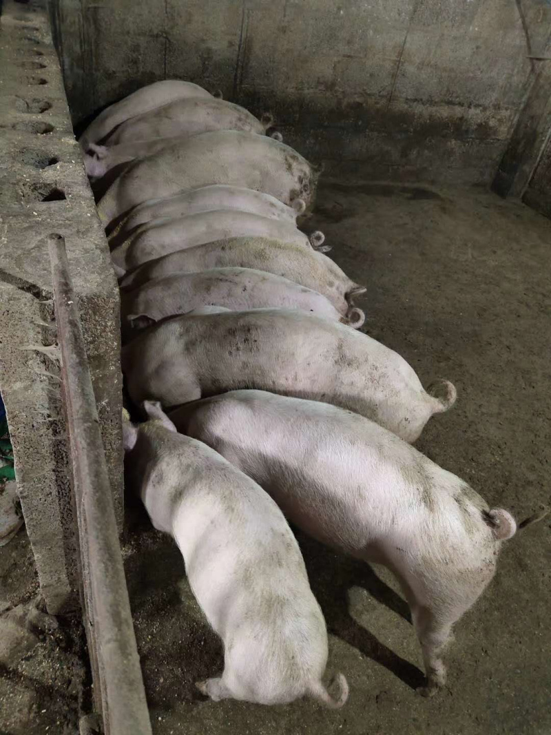 内三元