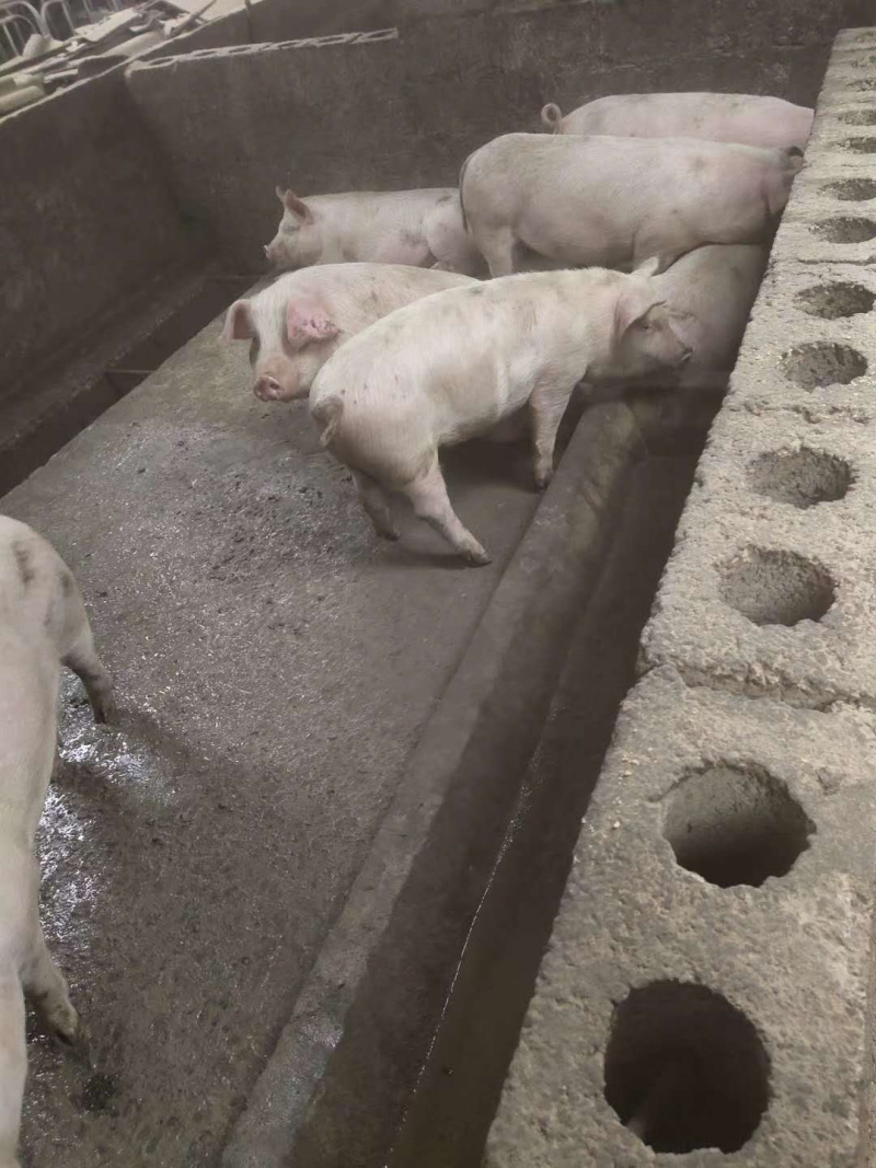 内三元