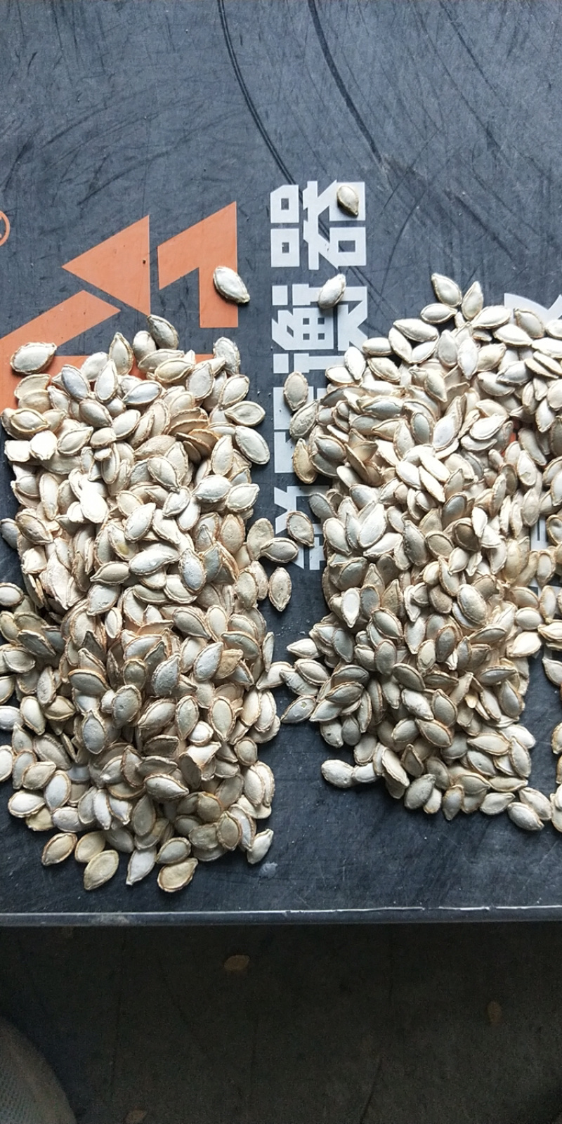 南瓜籽毛边生南瓜子筛选散装长毛香密本土南瓜籽生南瓜子批发