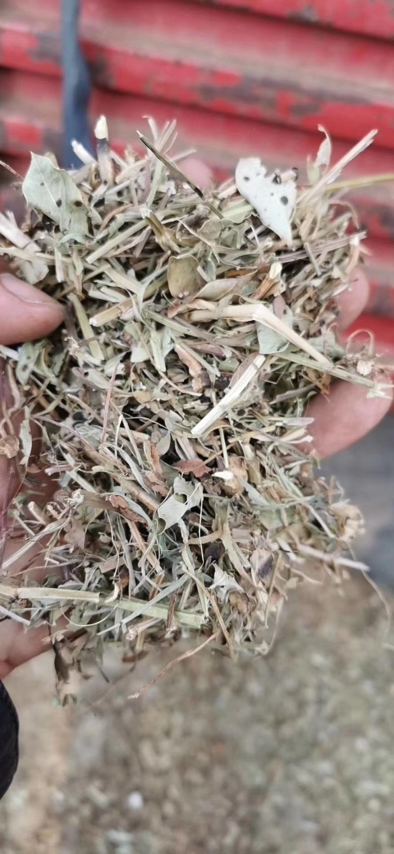 花生秧牛羊马兔草料大量供应