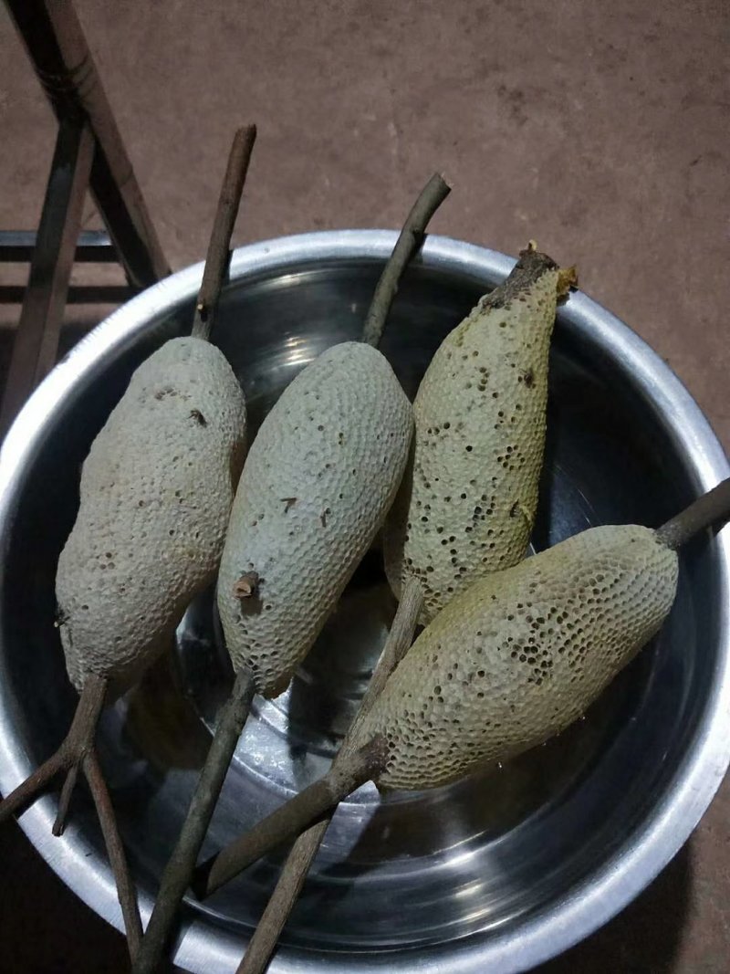 蜂蜜