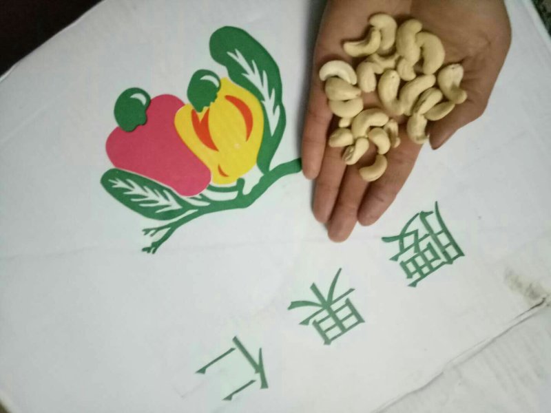 物流包邮极速发货精品越南去皮原味腰果
