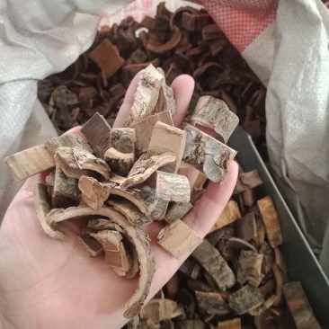 海桐皮统货各种中药材批发零售各种规格中药材