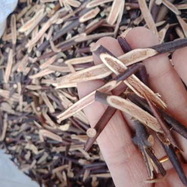 皂刺皂角刺整支切片都有中药材各种规格批发