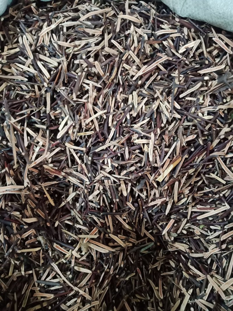 皂刺皂角刺整支切片都有中药材各种规格批发