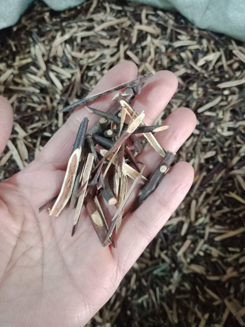 皂刺皂角刺整支切片都有中药材各种规格批发
