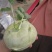 优质大棚水果苤蓝大量上市有需要的联系产地直发