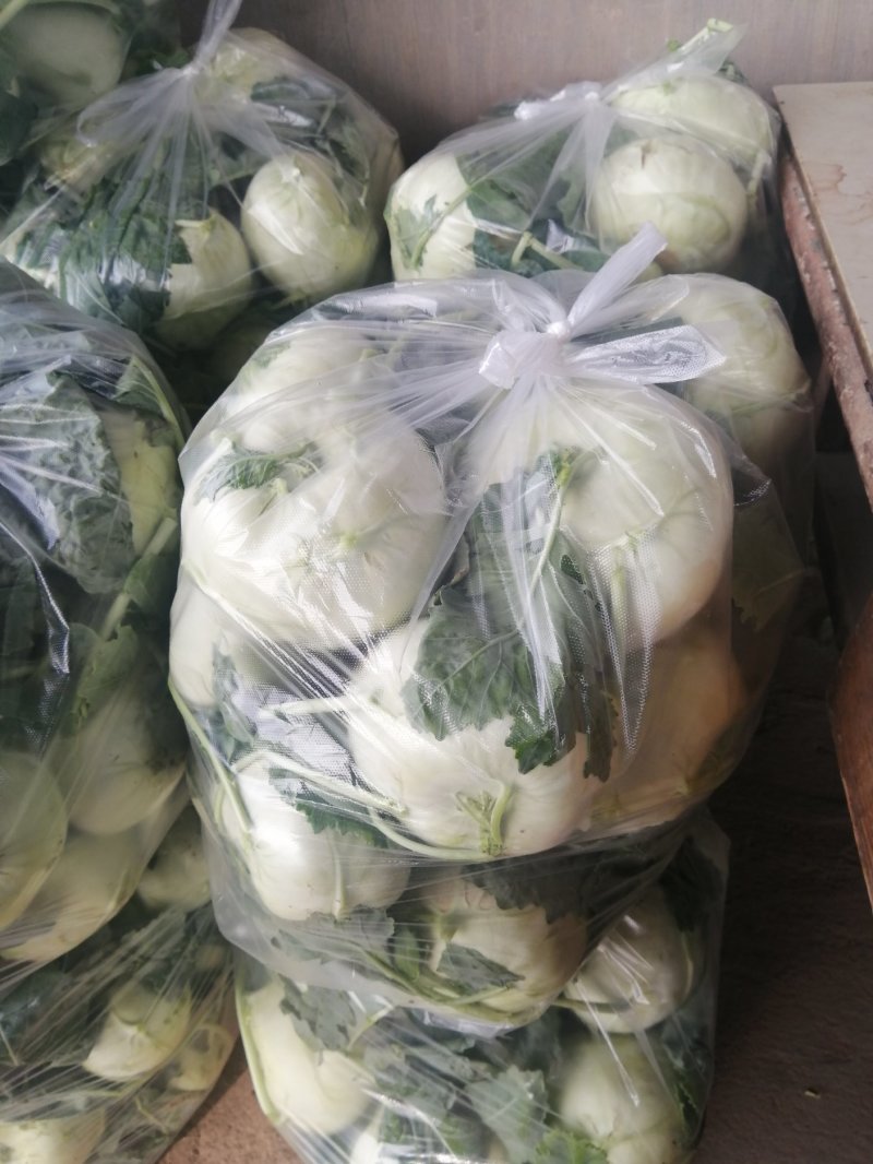 优质大棚水果苤蓝大量上市有需要的联系产地直发