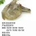 厄瓜多尔进口虾【正关】