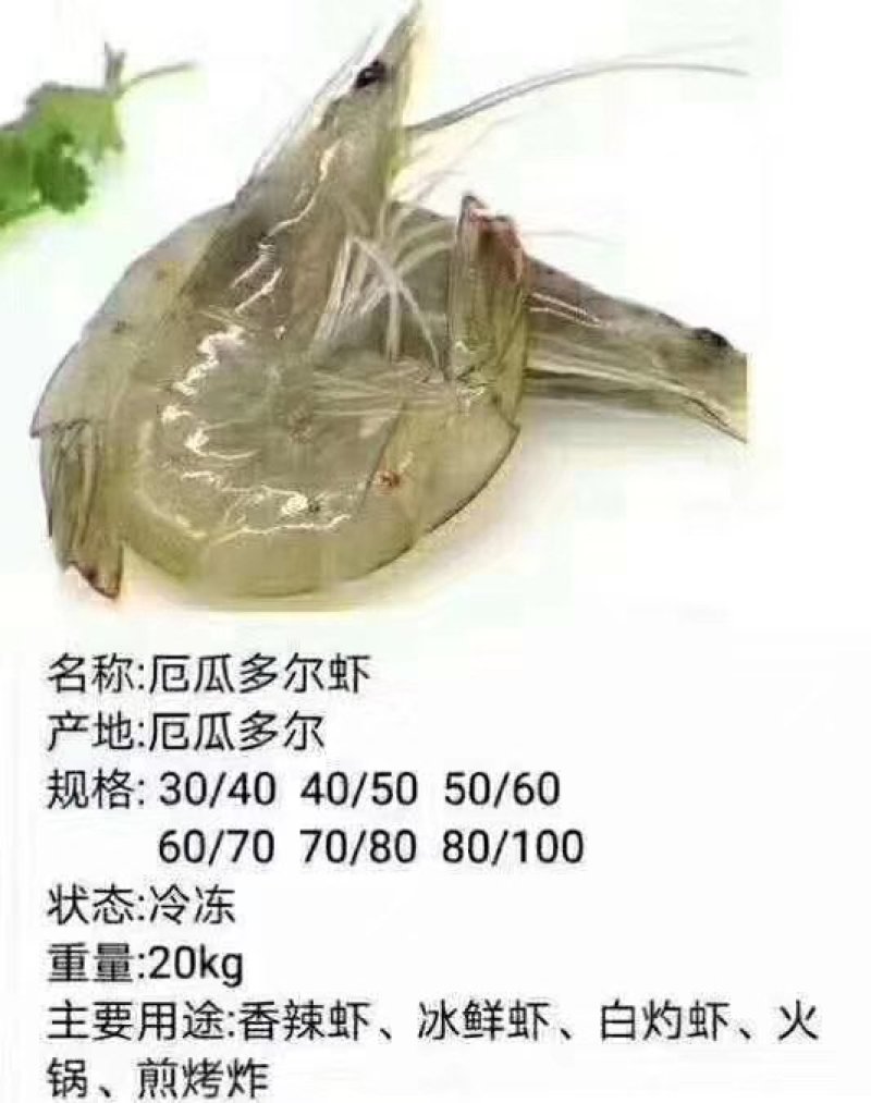 厄瓜多尔进口虾【正关】