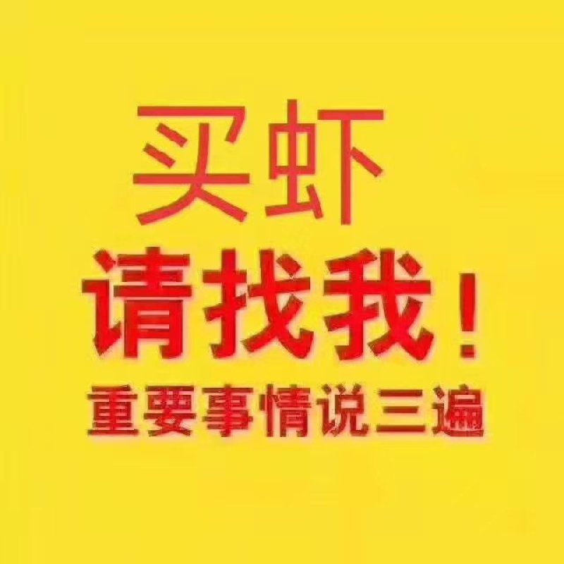 厄瓜多尔进口虾【正关】