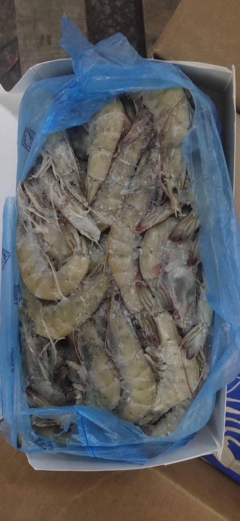 冻虾，条虾，大虾，白虾，对虾国内虾湛江厂家批发