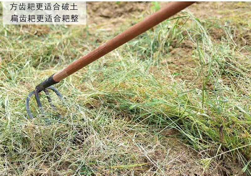 多功农用工具四齿钉耙扒草铁耙子农具家用平地翻土松土神