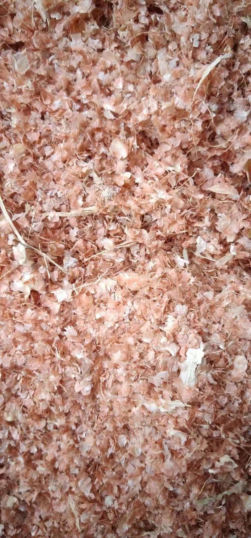 常年供应优质玉米皮饲料原料质量可靠牛羊喂殖高蛋白性玉