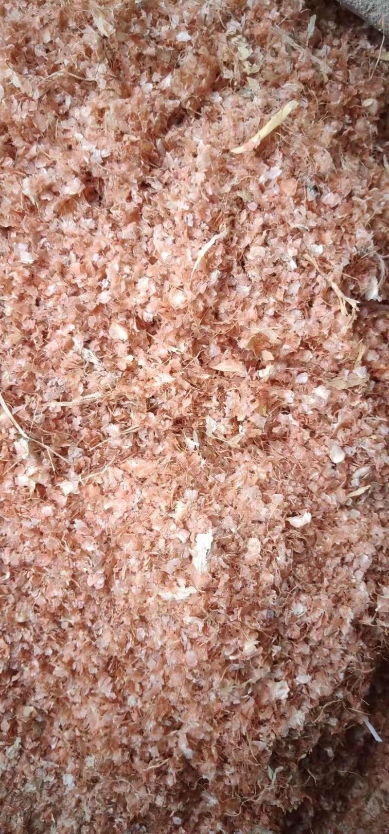 常年供应优质玉米皮饲料原料质量可靠牛羊喂殖高蛋白性玉